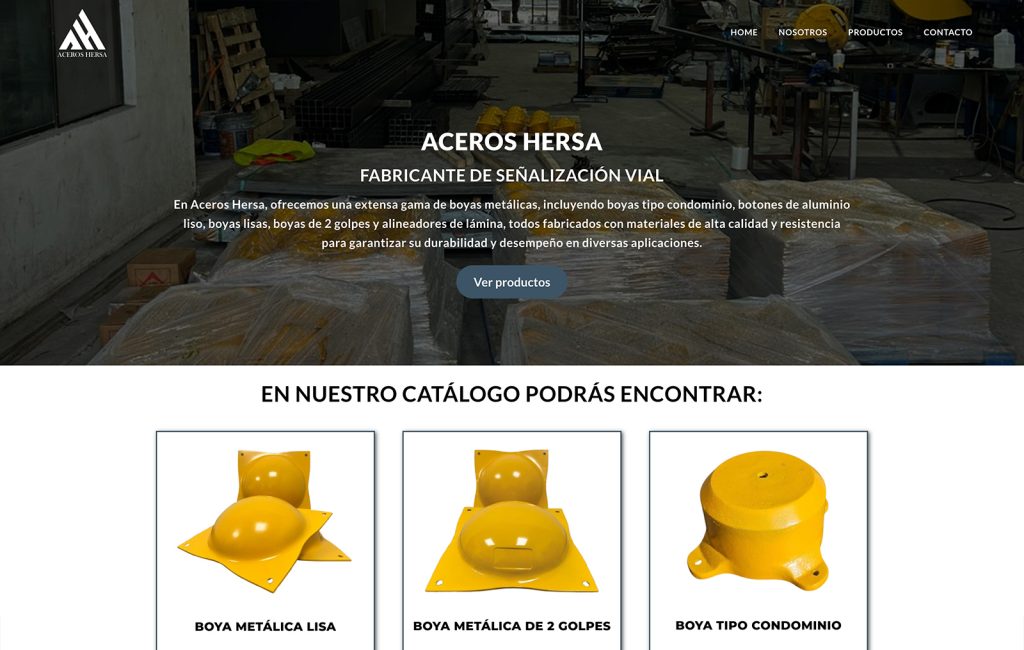 disenador web monterrey