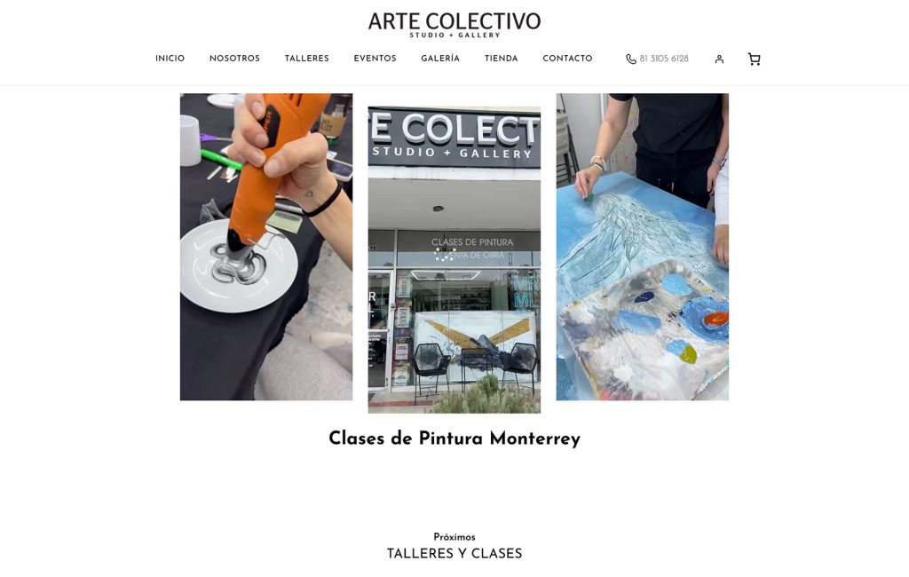 diseno web ecommerce en monterrey