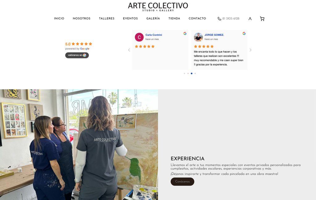 pagina Web ecomerce monterrey