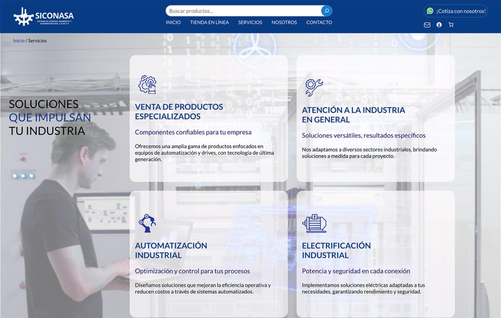 proveedor de paginas web