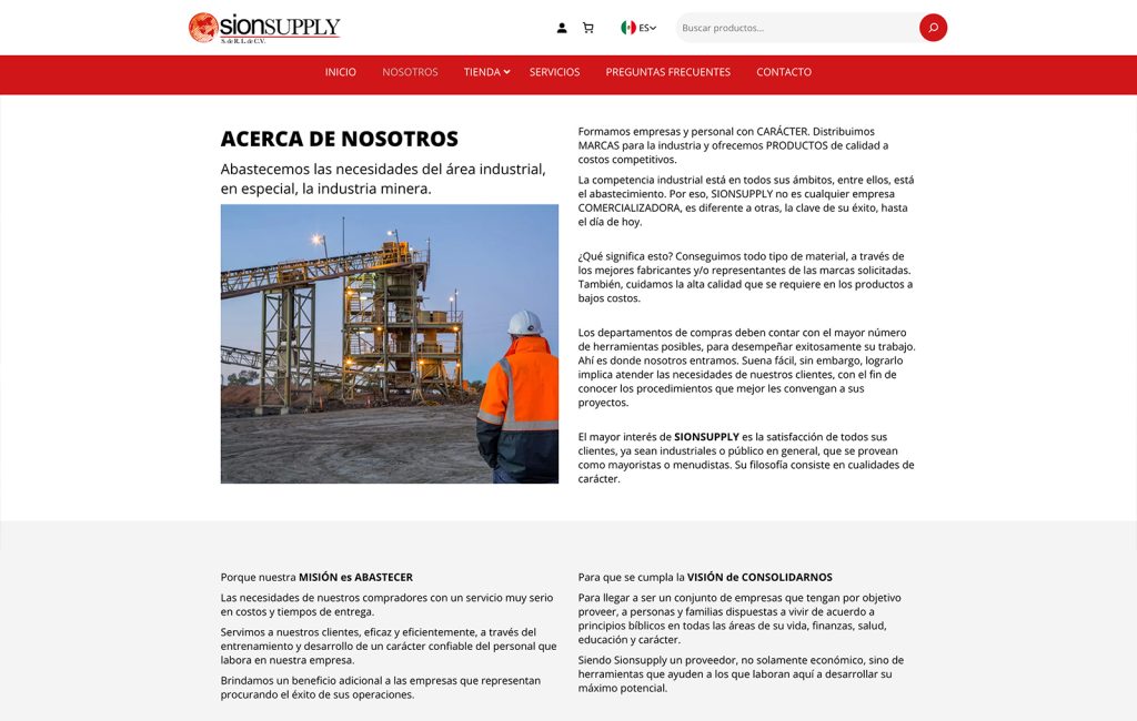 diseno De paginas De internet monterrey