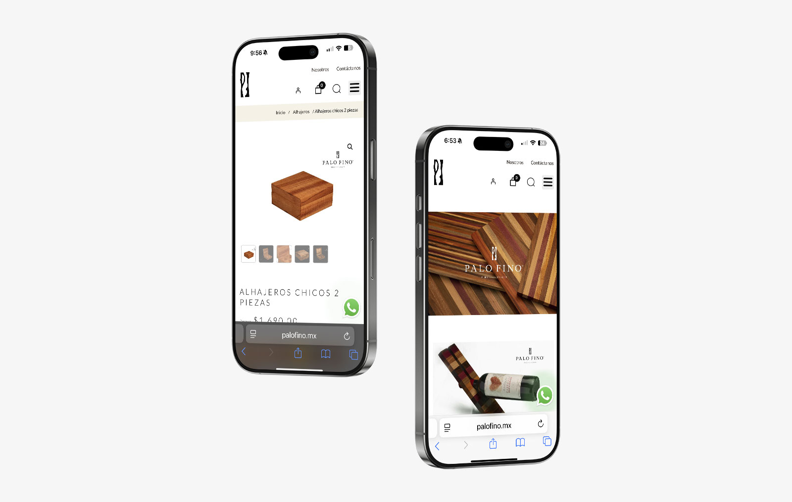 Bioxnet - Diseño de Páginas Web Monterrey|Palo Fino