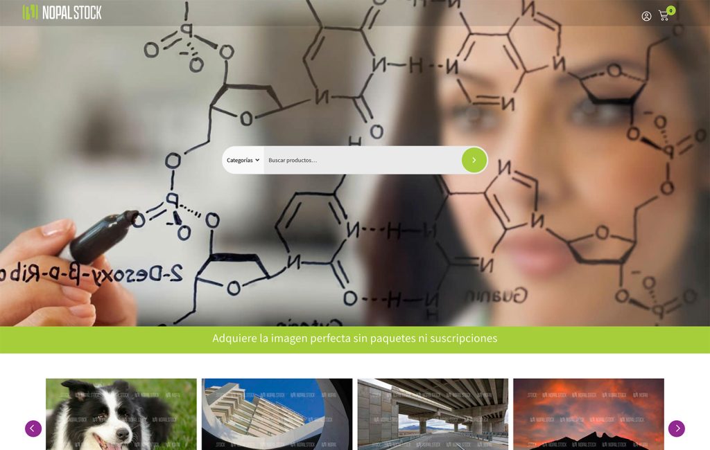 Bioxnet - Diseño de Páginas Web Monterrey | Nopal Stock