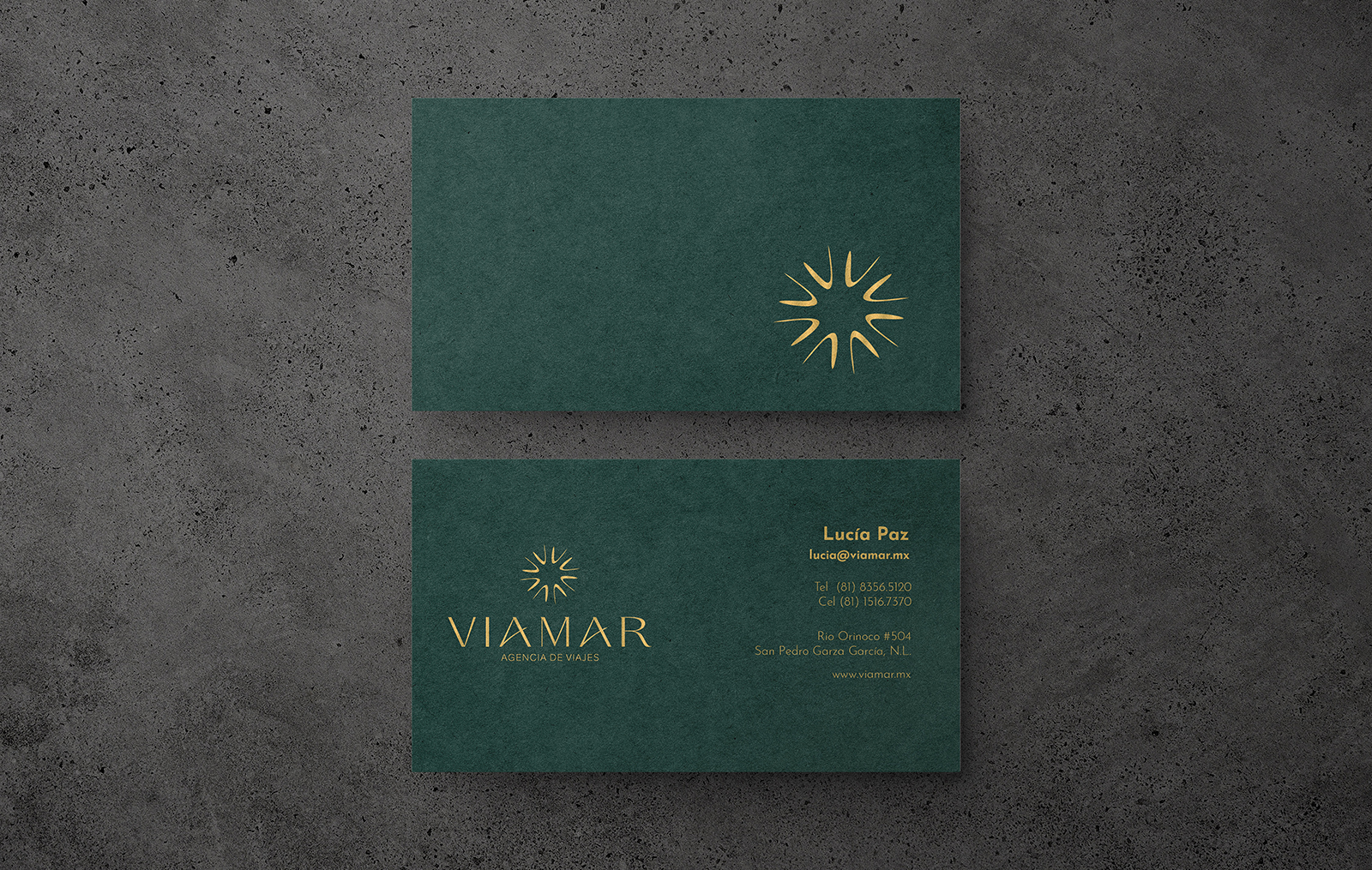 Bioxnet - Diseño de Páginas Web Monterrey|Viamar