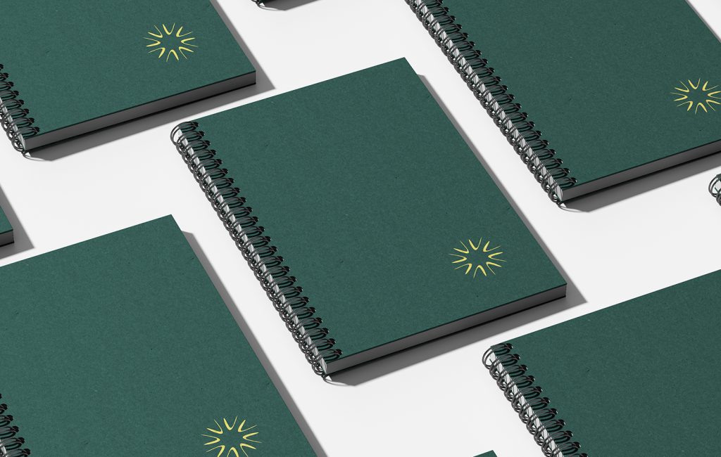 Bioxnet - Diseño de Páginas Web Monterrey | Viamar