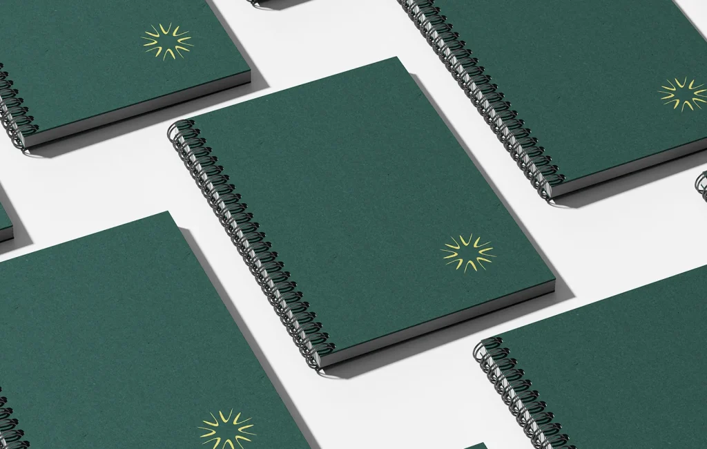 Bioxnet - Diseño de Páginas Web Monterrey | Viamar