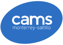 Inicio 33 cams