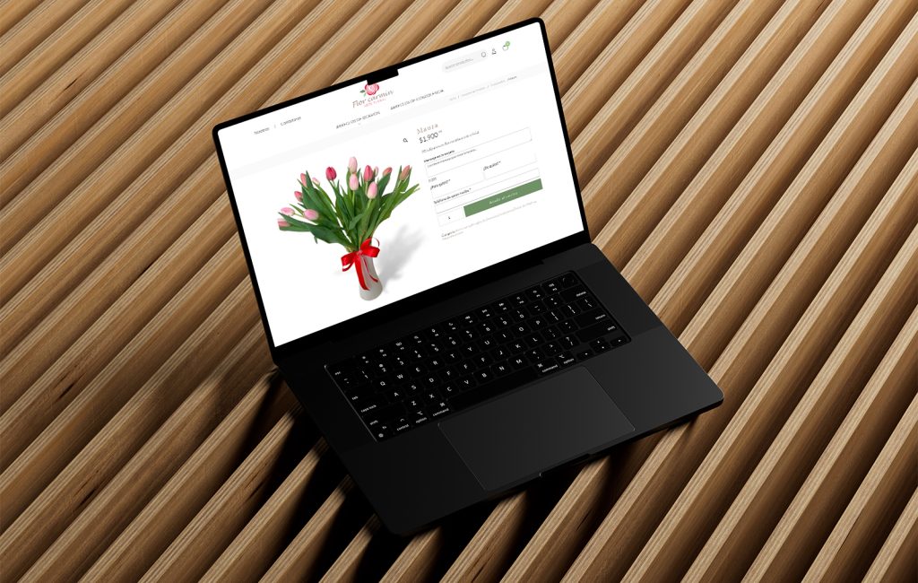 diseñador web ecommerce monterrey