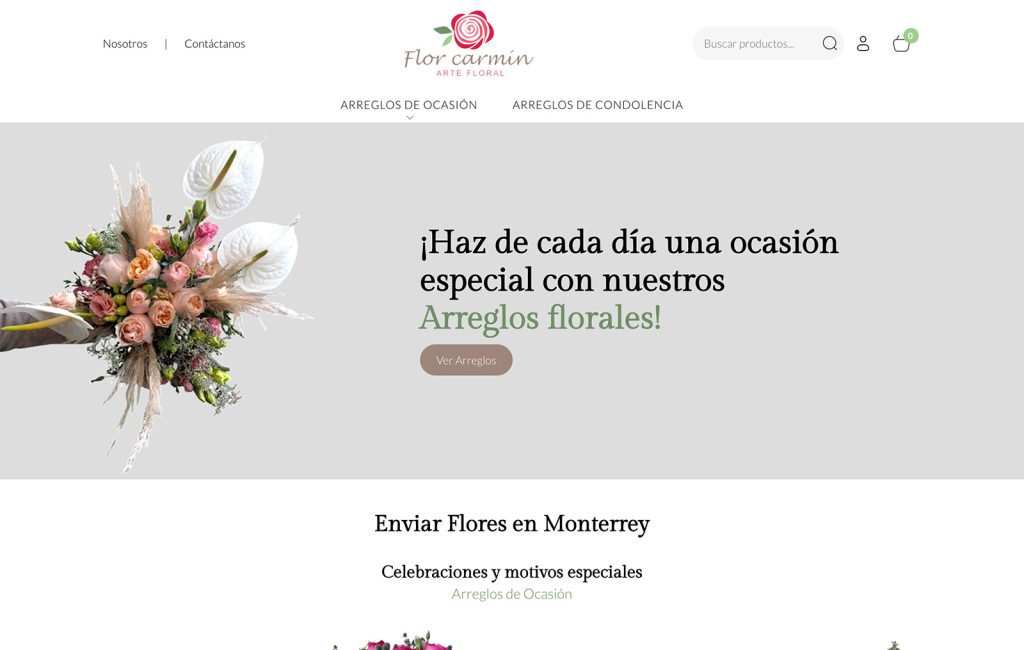 diseño de paginas Web mty