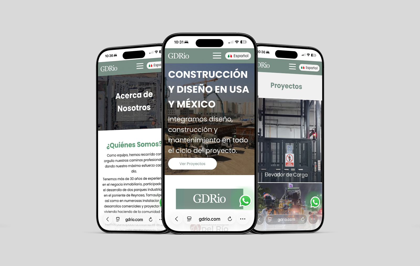 GDRio 1 diseño web en monterrey
