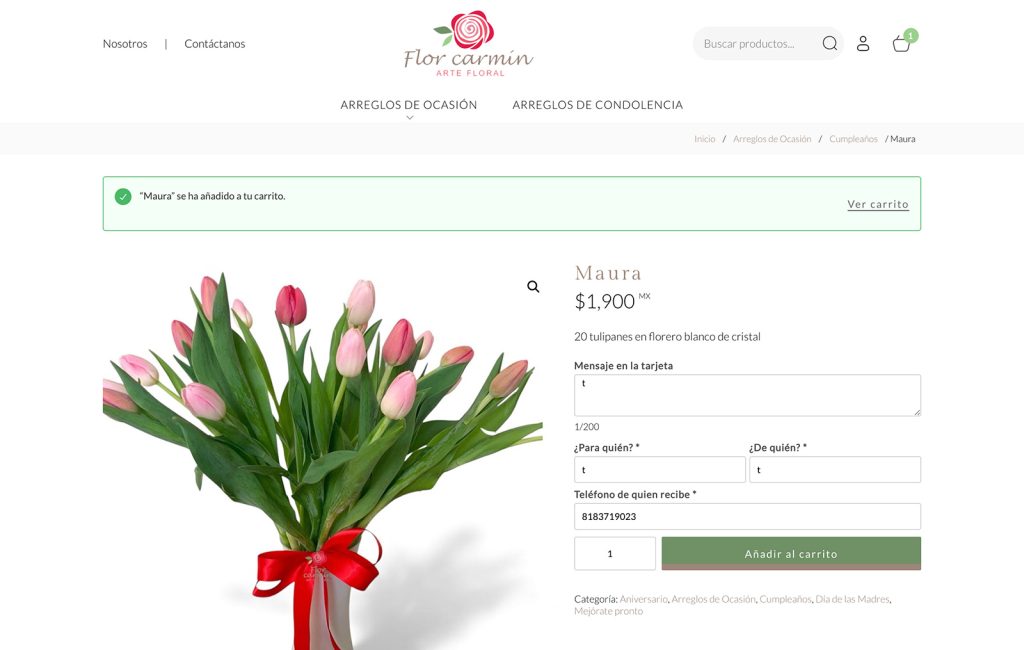 diseño web venta en linea
