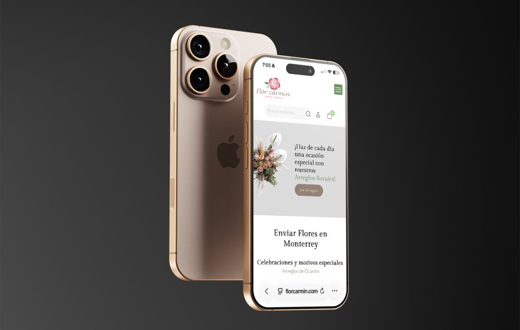 pagina Web ecommerce monterrey