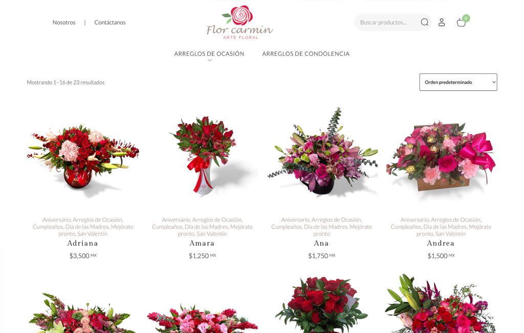 diseño de sitio web ecommerce