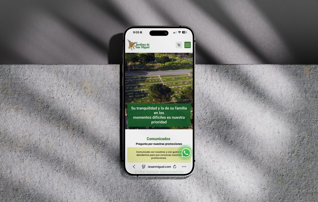 agencia De diseño web san pedro