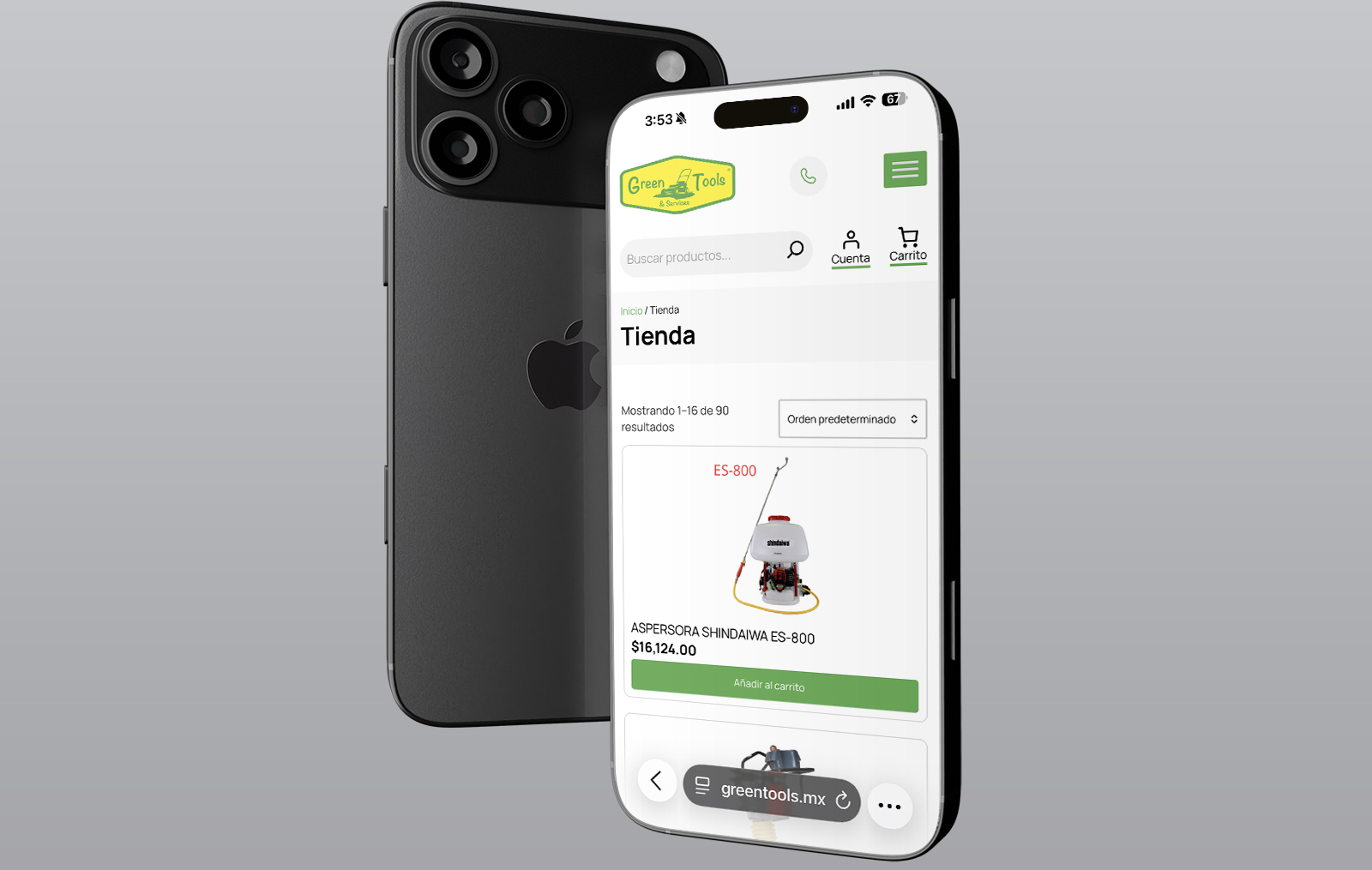 agencia web sa pedro