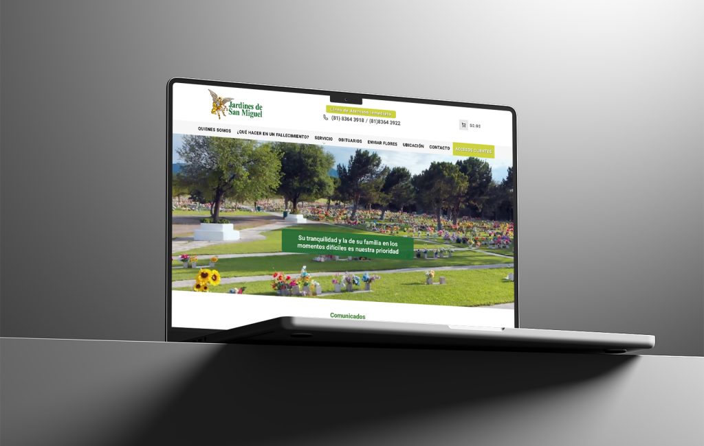 diseño de sitios Web Monterrey