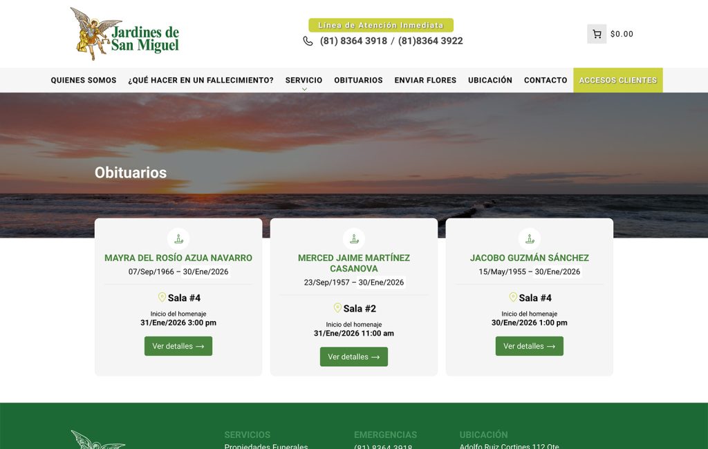 empresas De Diseño web monterrey