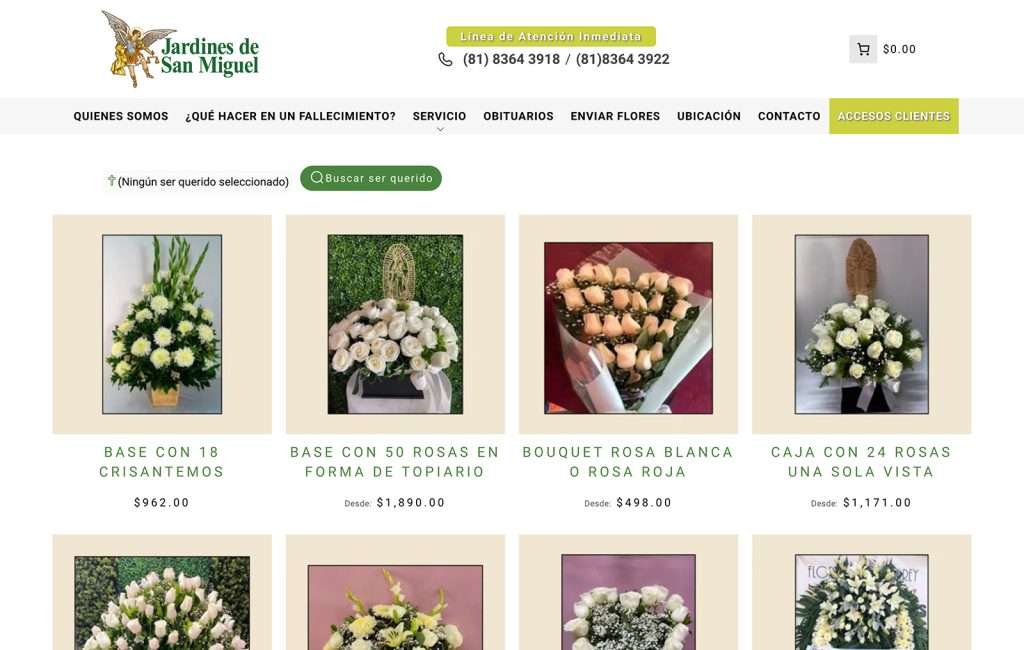 sitios Web ecommerce en Monterrey