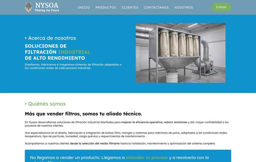 Nysoa 9 agencia de diseño web en monterrey