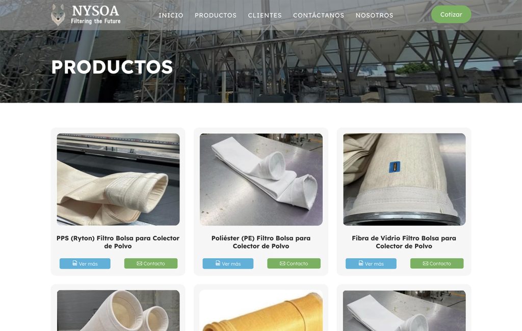 Nysoa 6 disenador web monterrey