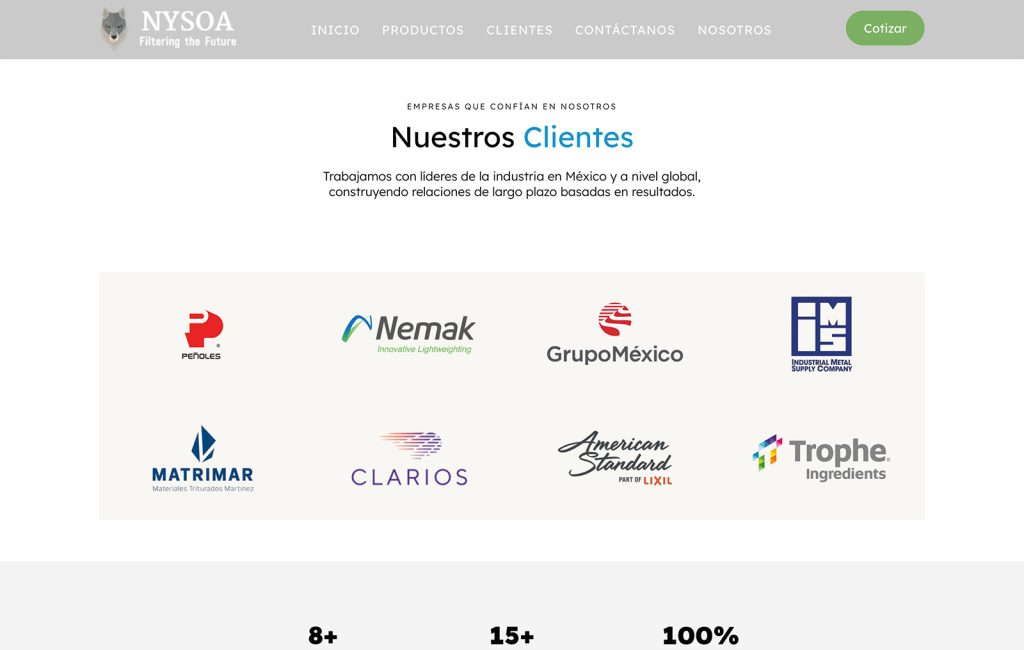 Nysoa 8 disenadores web monterrey