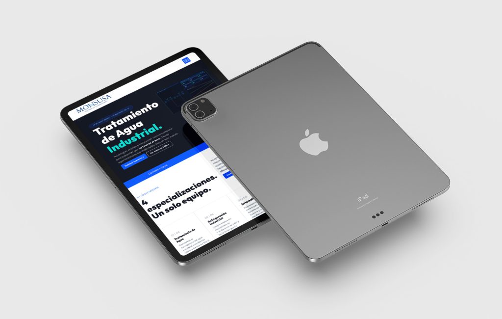 diseno web profesional en monterrey