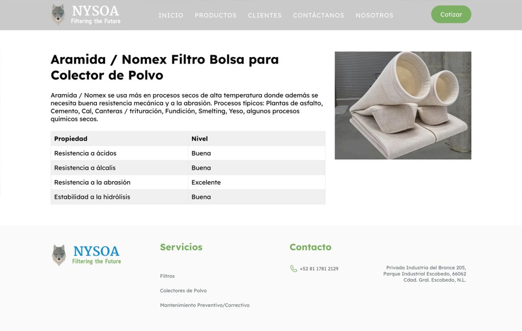 Nysoa 5 sitios web monterrey