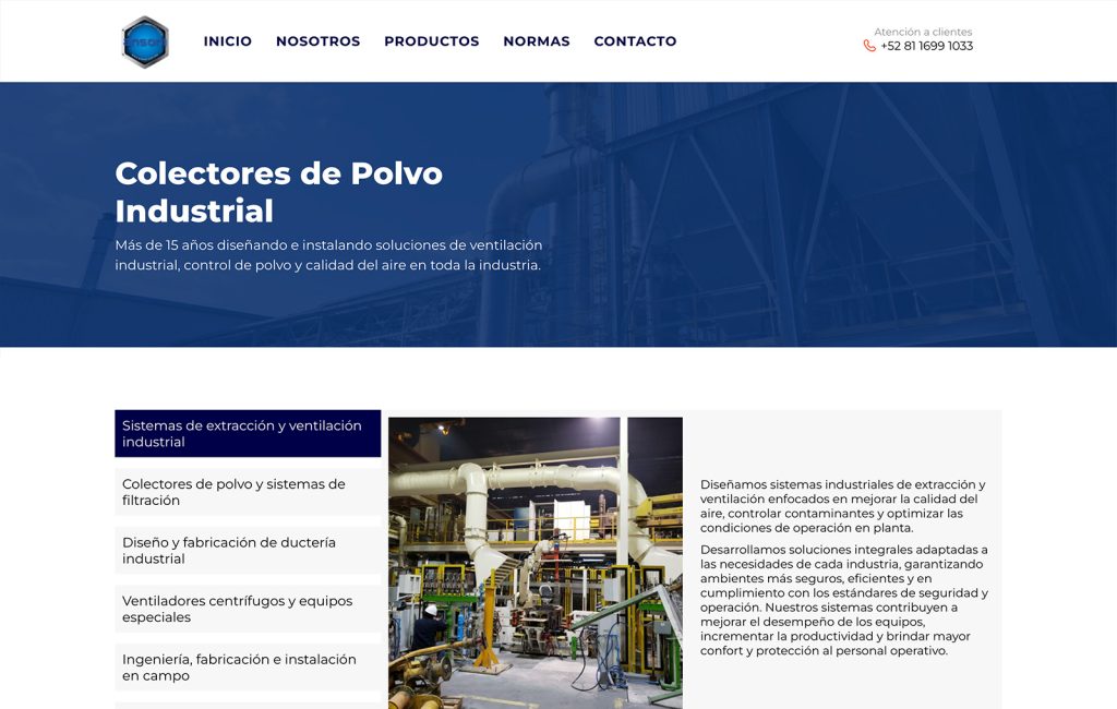 diseno web profesional