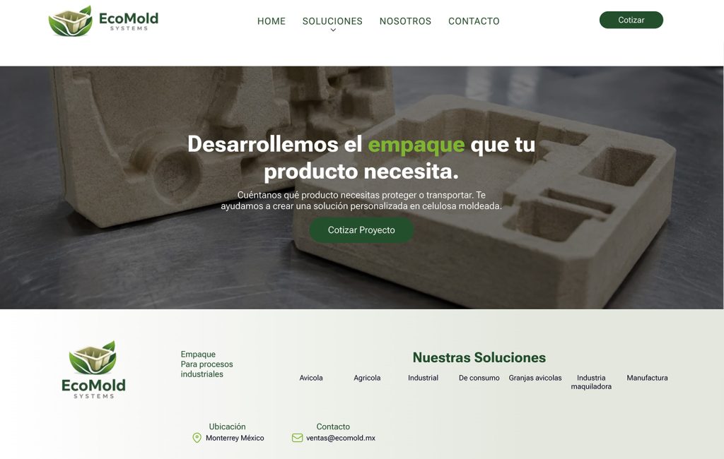agencias de diseno web en monterrey