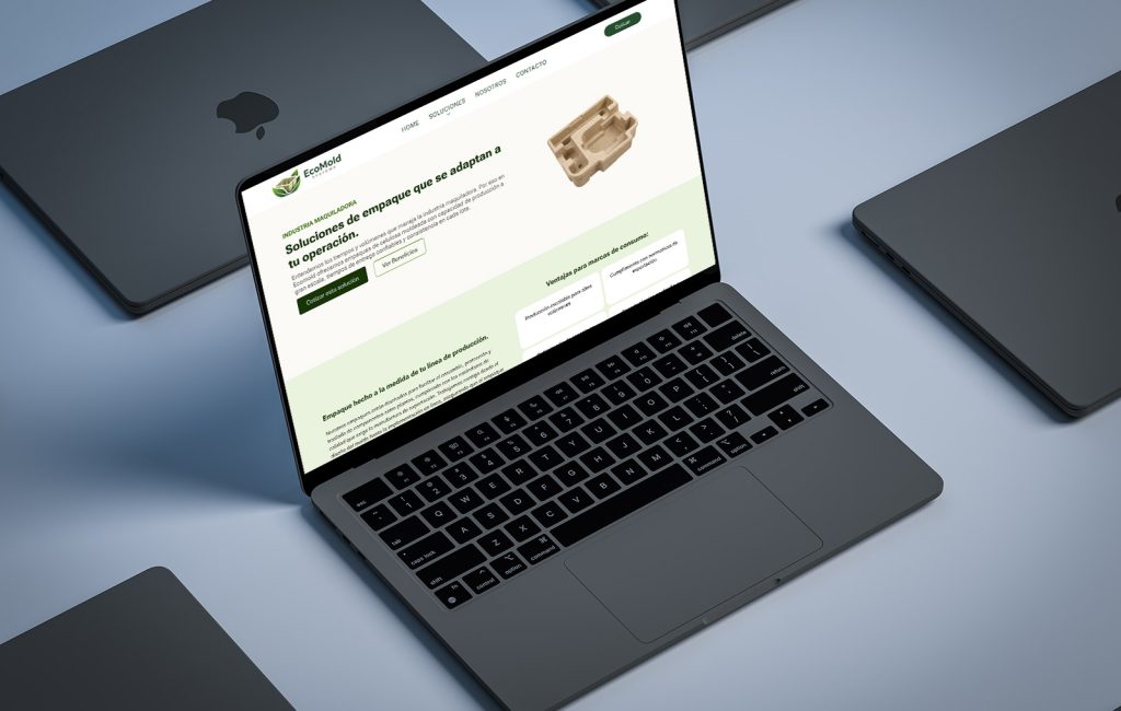 disenador profesional web en monterrey