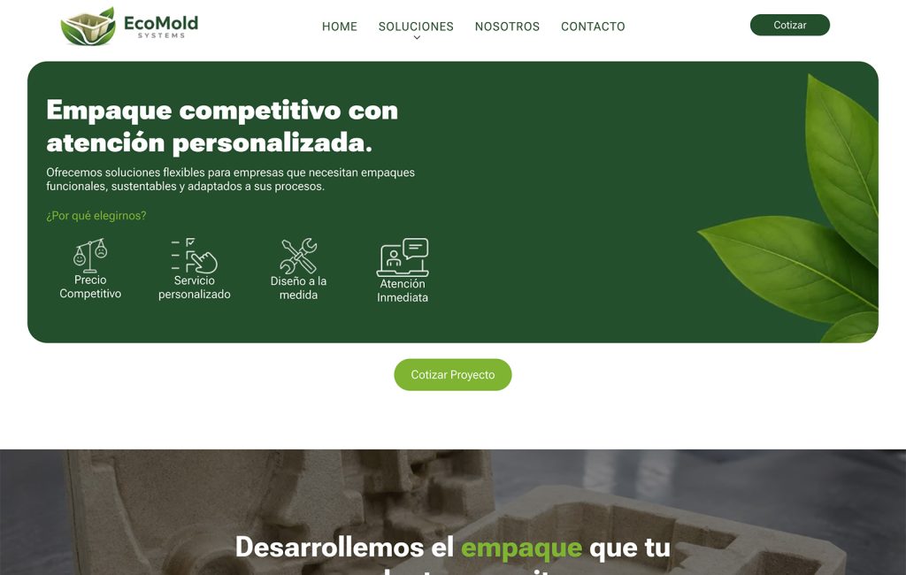 diseno de sitios web en monterrey