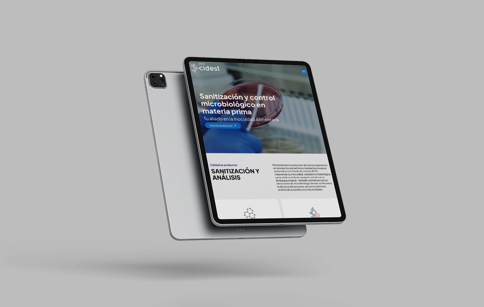 diseno profesional de sitios web