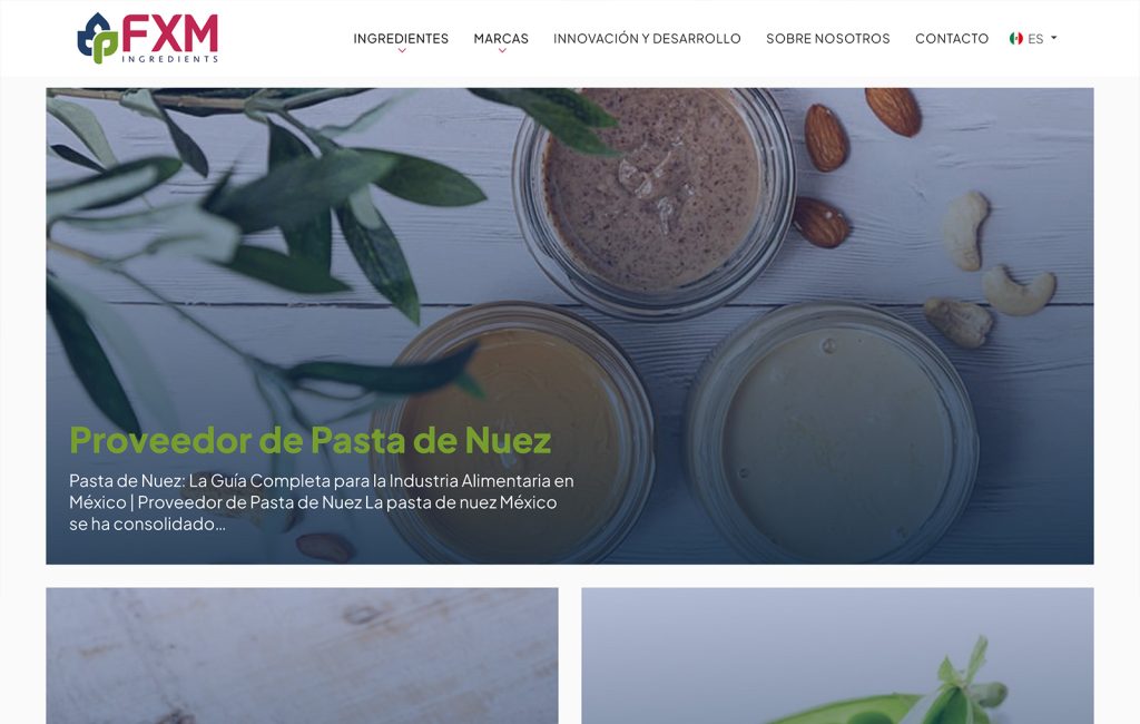 agencias de diseno web monterrey