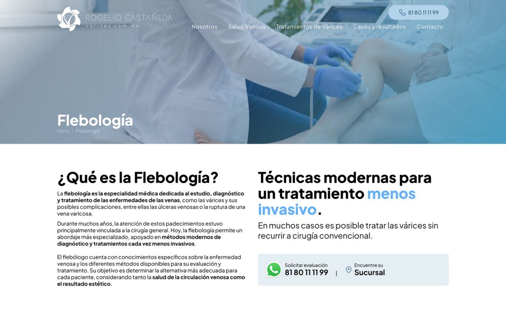 agencias de diseno web sanpedro