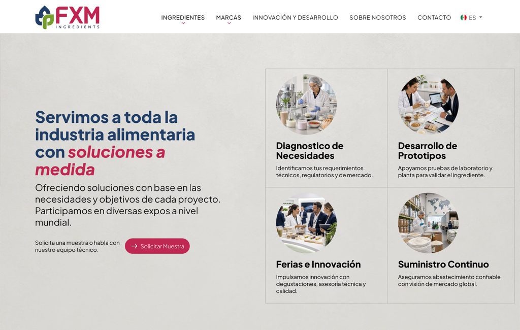 agencias web en sanpedro