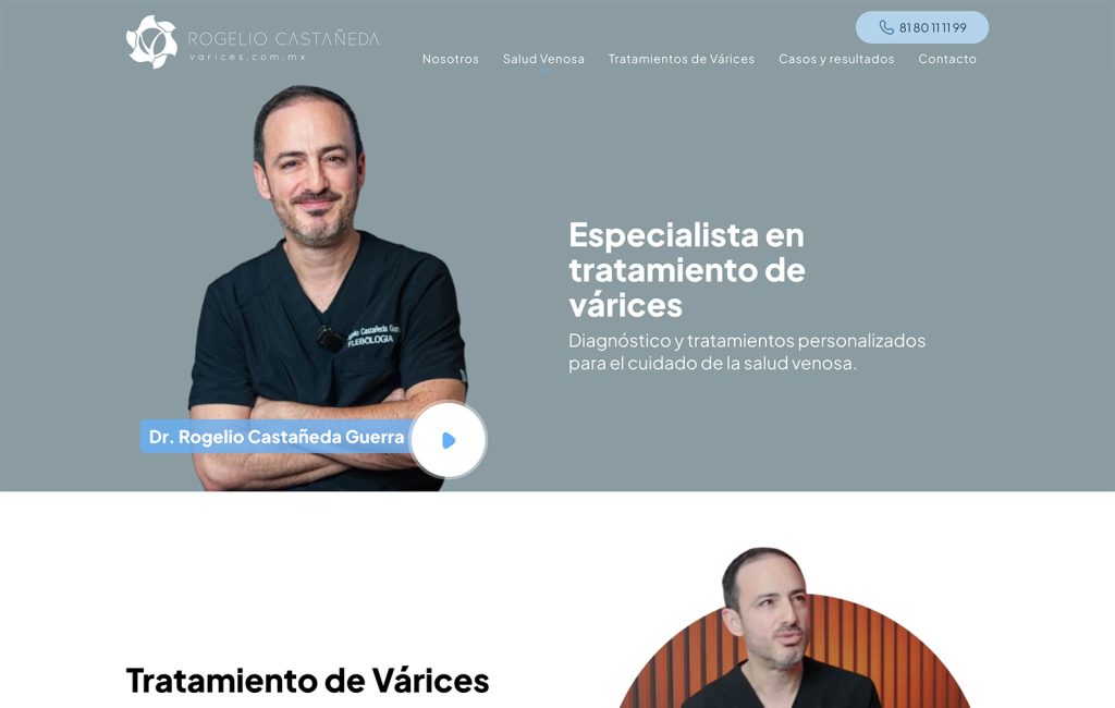 disenador de sitios web