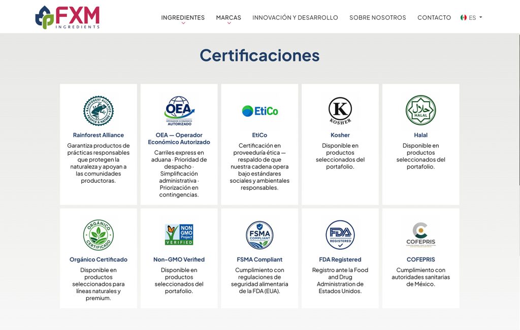 disenador de sitios web monterrey