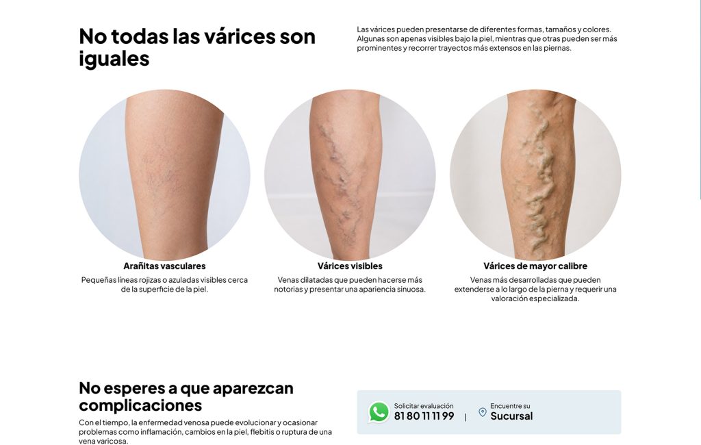 disenador web profesional monterrey