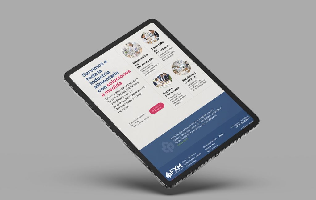 diseno web profesional en monterrey