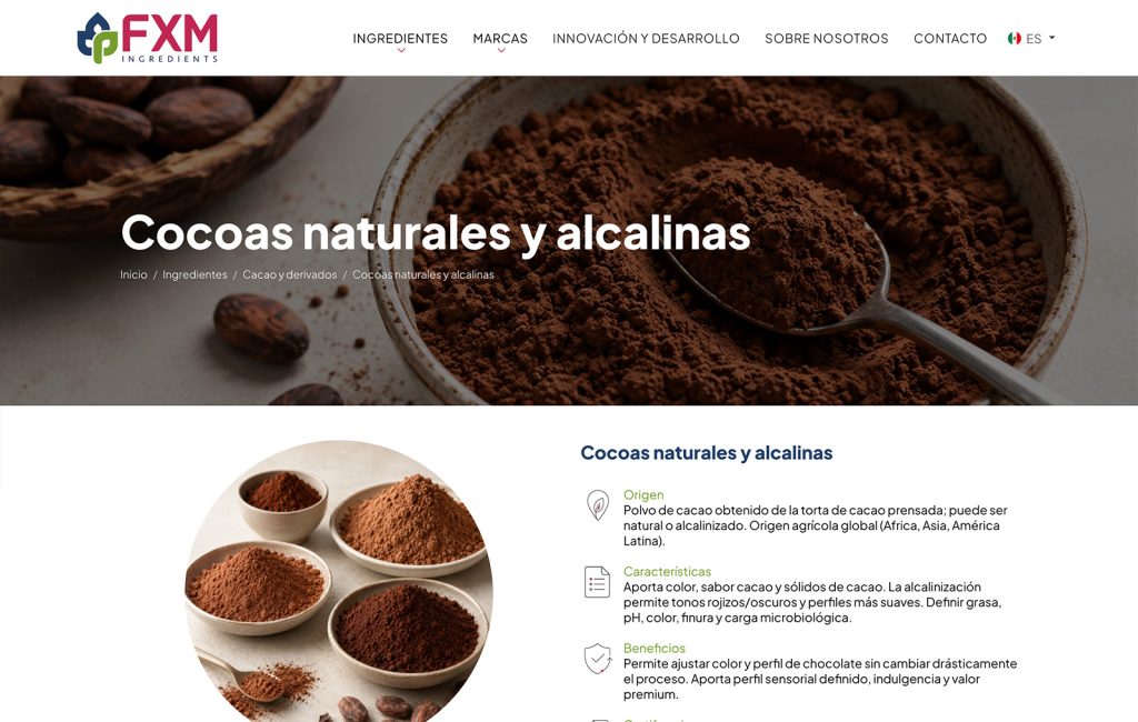 empresas de diseno web