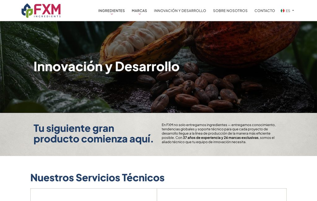 empresas de diseno web en monterrey