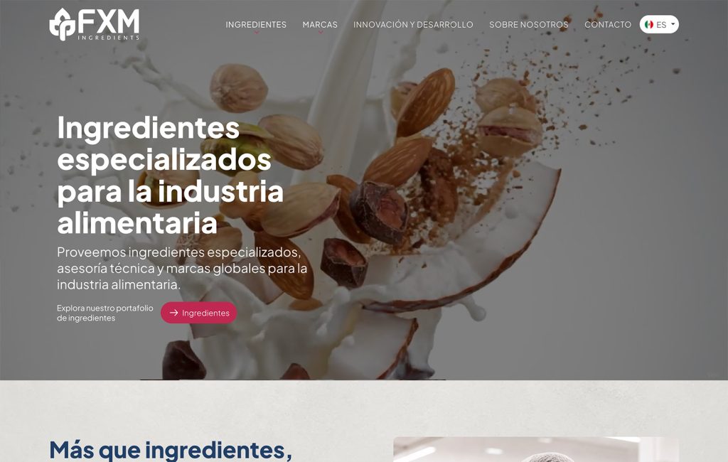 empresas de diseno web monterrey
