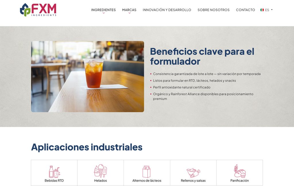 paginas web monterrey