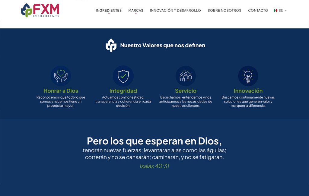 proceso de diseno web