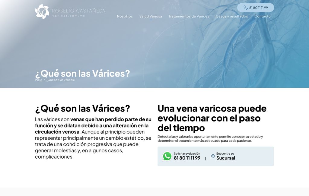 servicio de diseno web monterrey