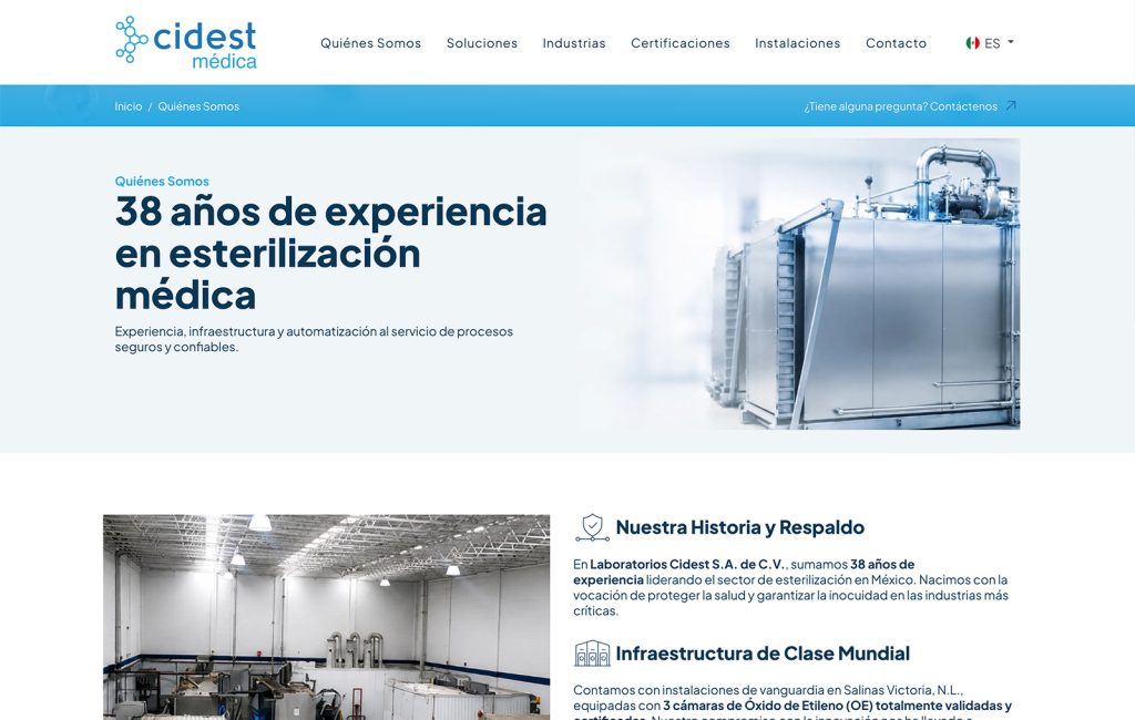 disenador de sitios web