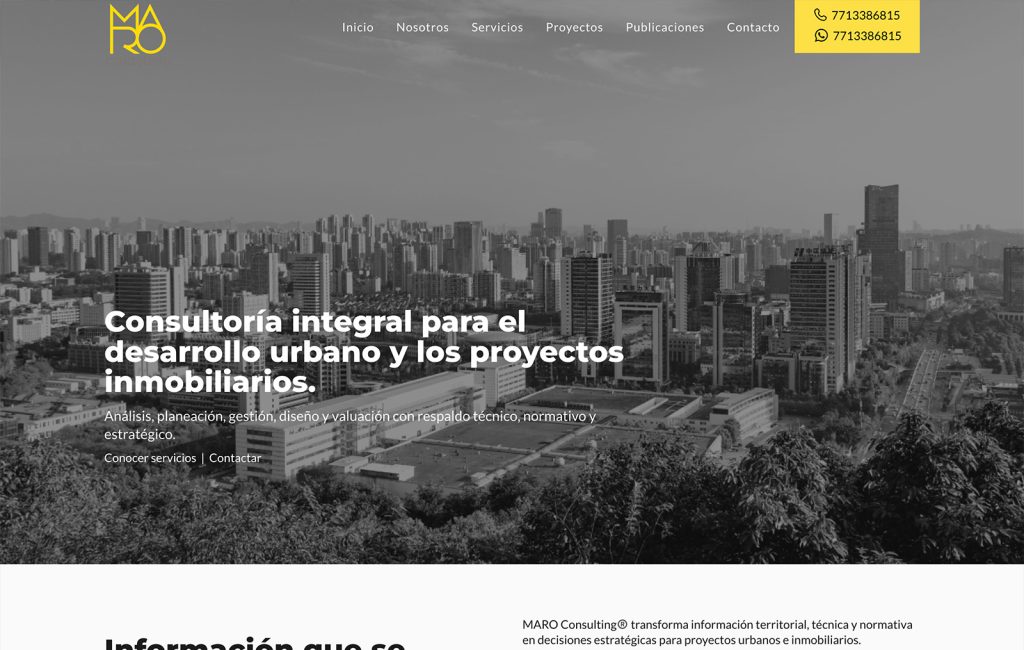 disenador web monterrey