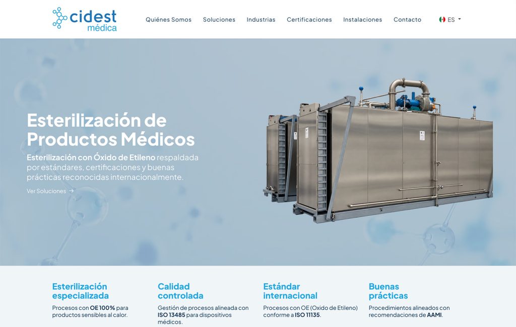 diseno web profesional
