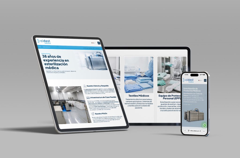 paginas web en monterrey