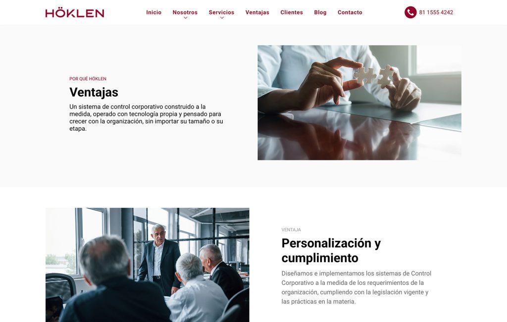 agencia de diseno web monterrey